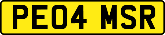 PE04MSR