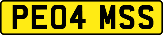 PE04MSS