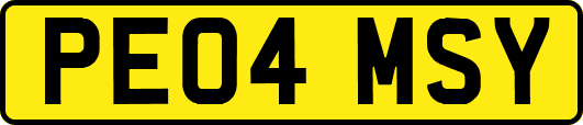 PE04MSY
