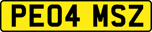 PE04MSZ