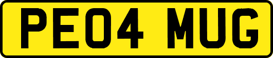 PE04MUG