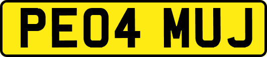 PE04MUJ