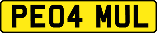 PE04MUL