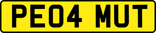 PE04MUT
