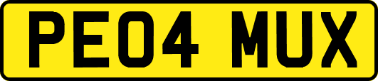 PE04MUX