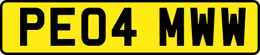 PE04MWW