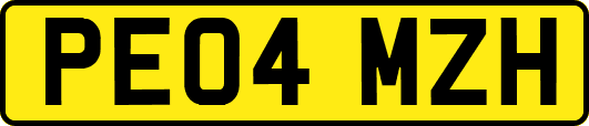 PE04MZH