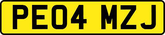 PE04MZJ