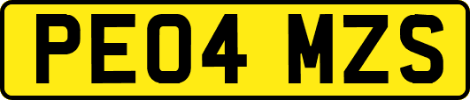 PE04MZS