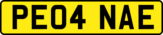 PE04NAE