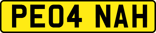 PE04NAH