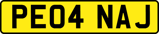 PE04NAJ