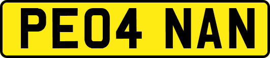 PE04NAN