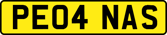 PE04NAS