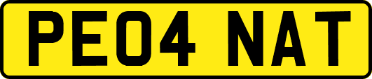 PE04NAT