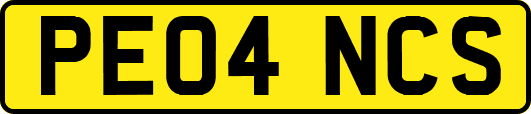 PE04NCS