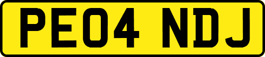 PE04NDJ