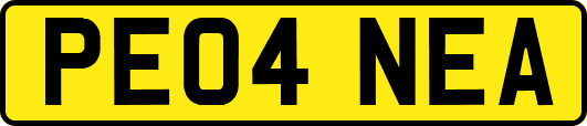 PE04NEA