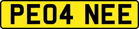 PE04NEE