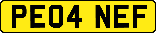 PE04NEF