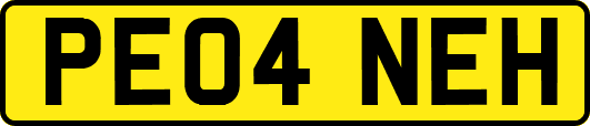 PE04NEH