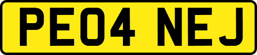 PE04NEJ