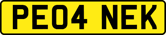 PE04NEK
