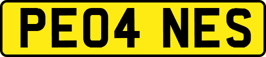 PE04NES