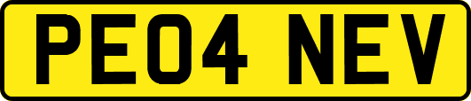 PE04NEV