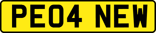 PE04NEW