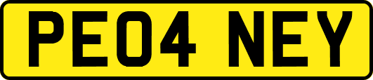 PE04NEY