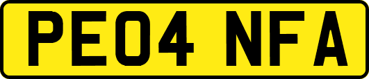 PE04NFA