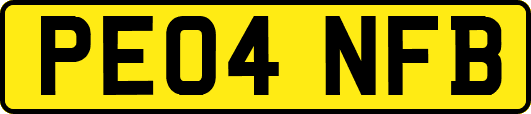 PE04NFB