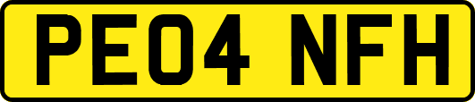 PE04NFH
