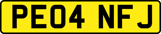 PE04NFJ