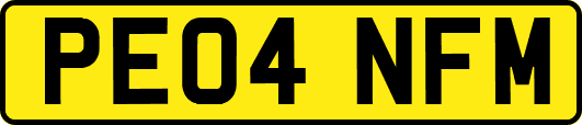 PE04NFM