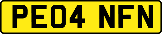 PE04NFN