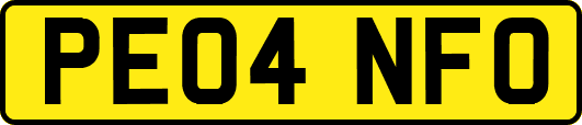 PE04NFO