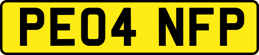 PE04NFP