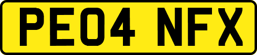 PE04NFX