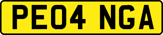 PE04NGA
