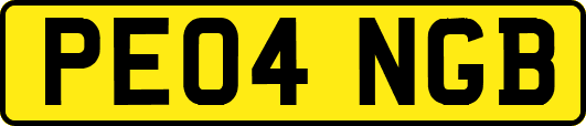 PE04NGB