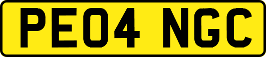 PE04NGC