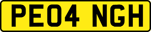PE04NGH