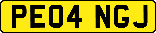 PE04NGJ