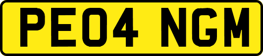 PE04NGM