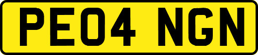 PE04NGN