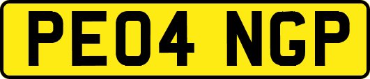PE04NGP