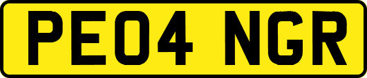 PE04NGR