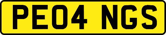 PE04NGS